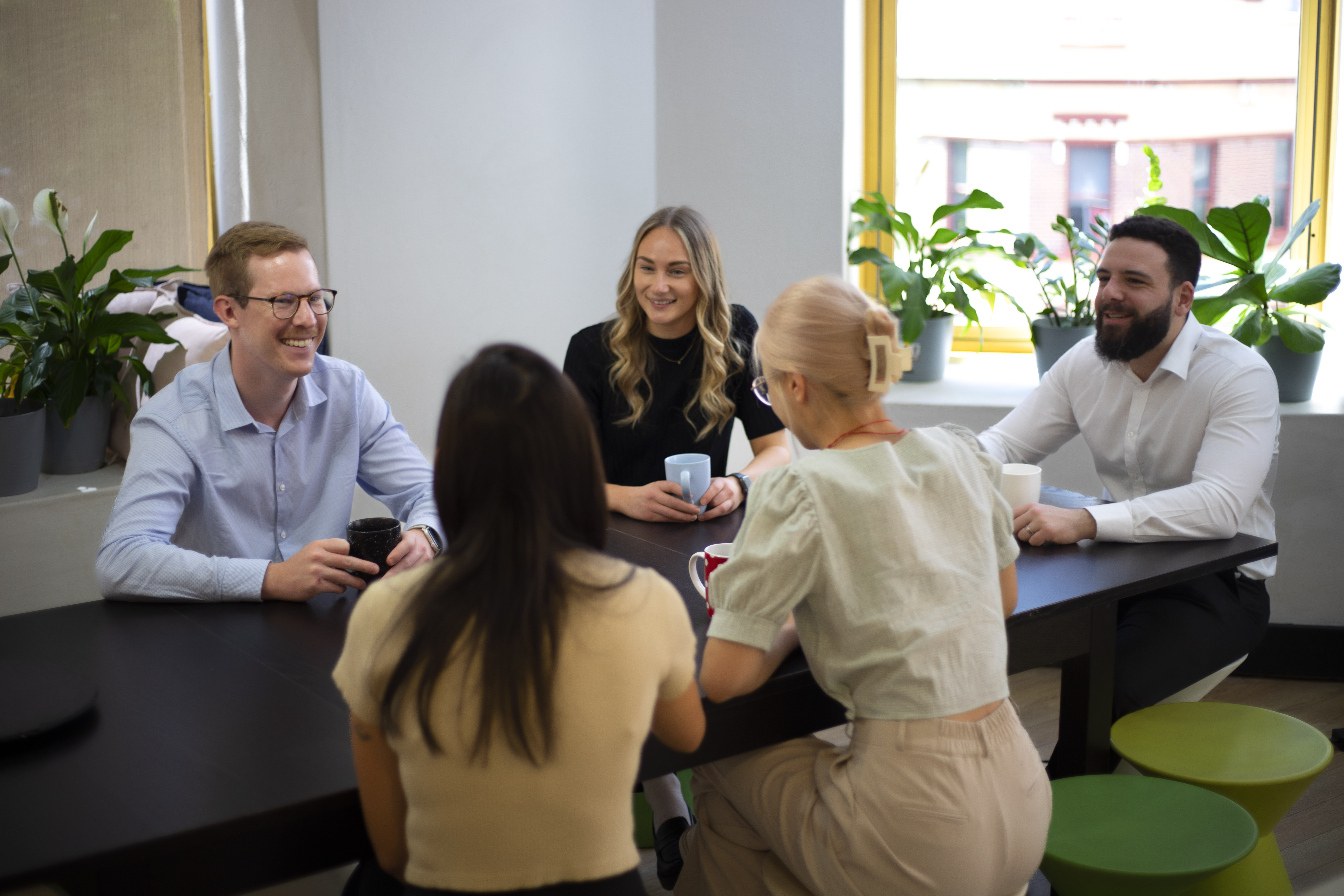 this image has no description provided