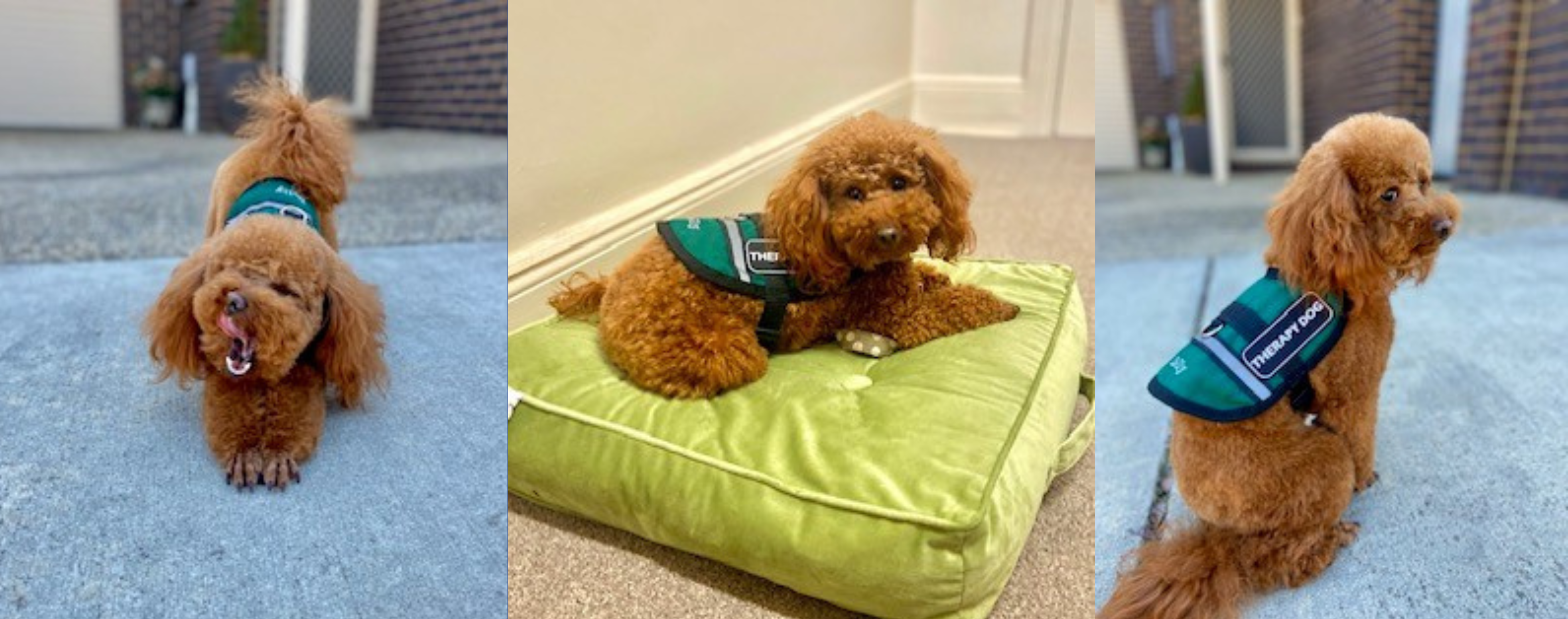 this image has no description provided