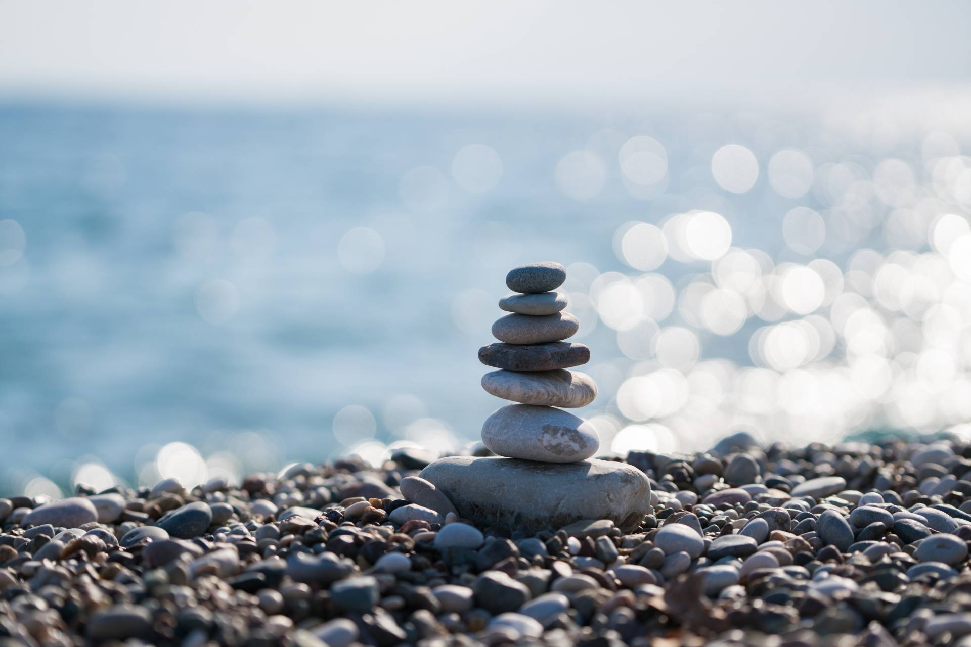 this image has no description provided