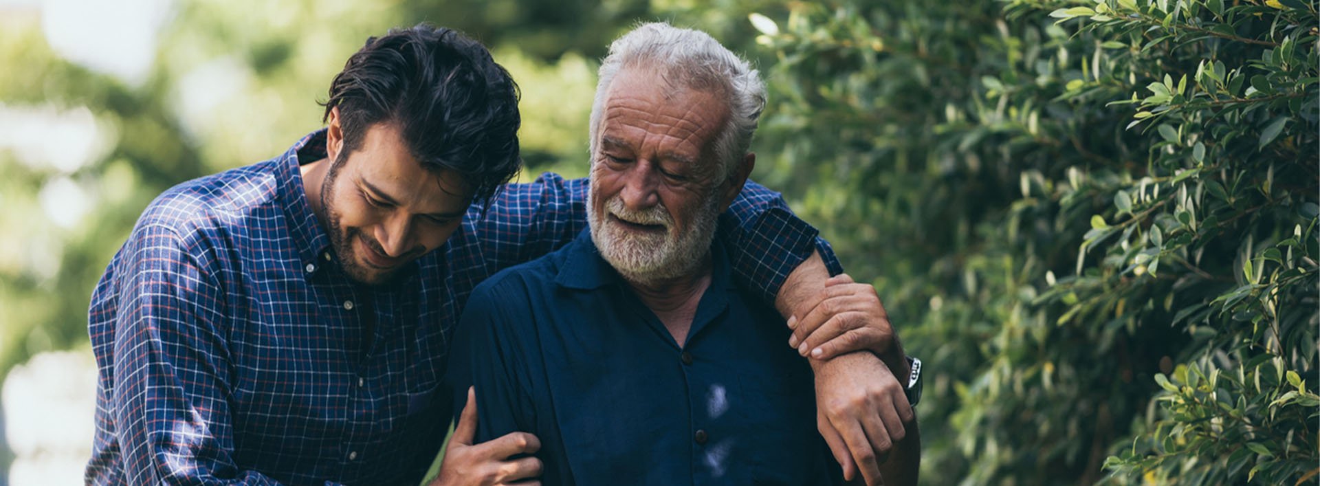 this image has no description provided