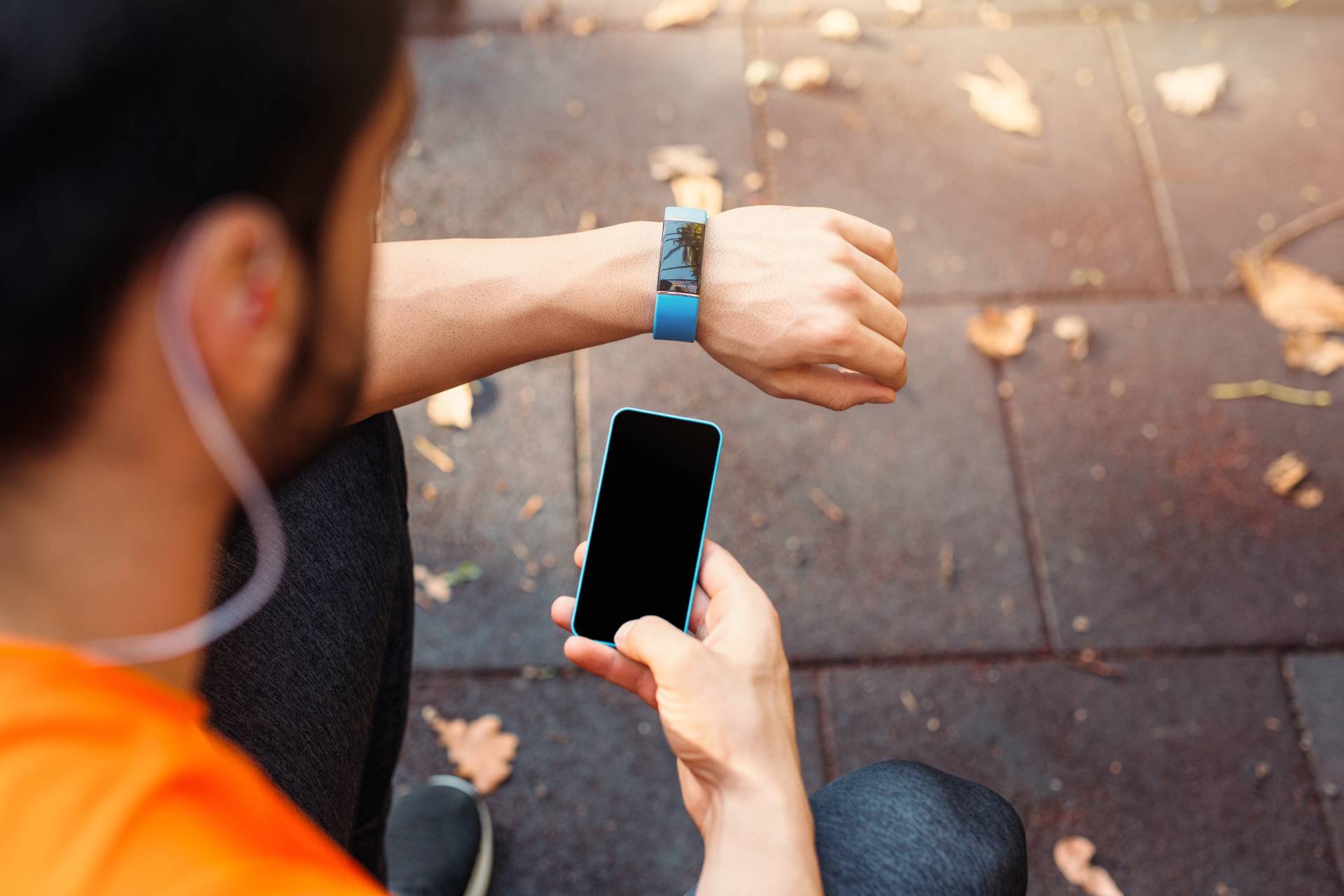 this image has no description provided