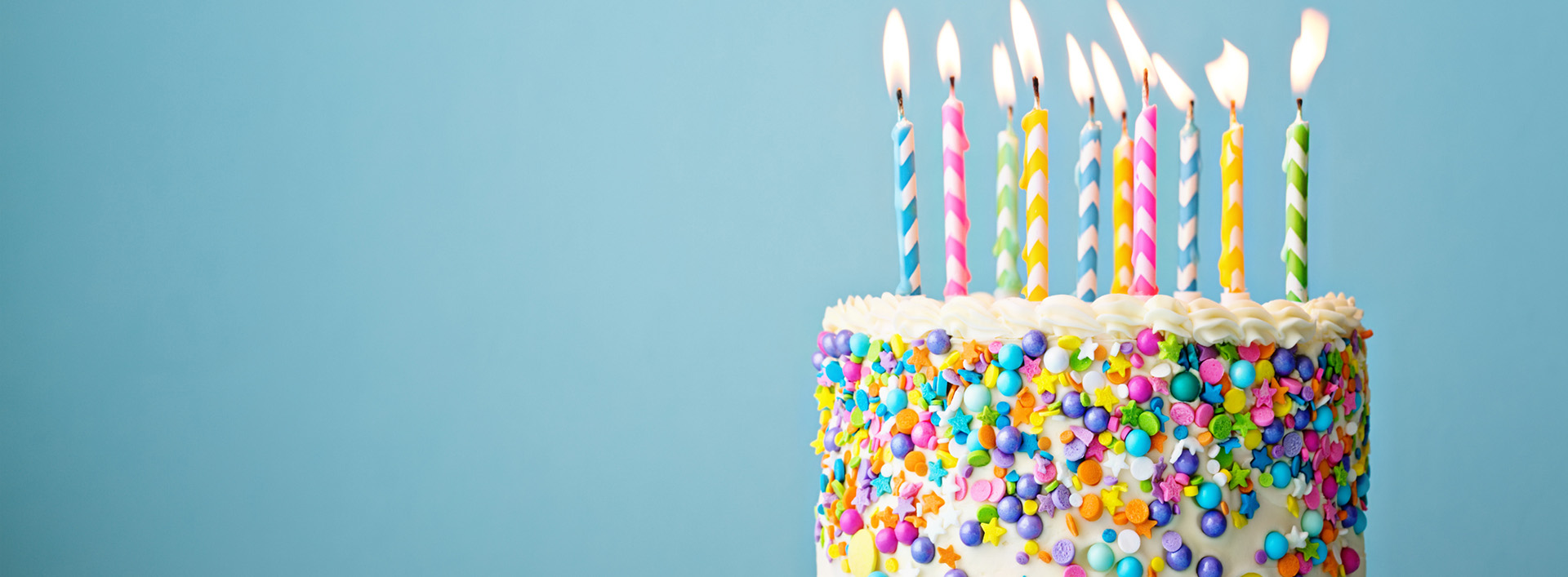 this image has no description provided