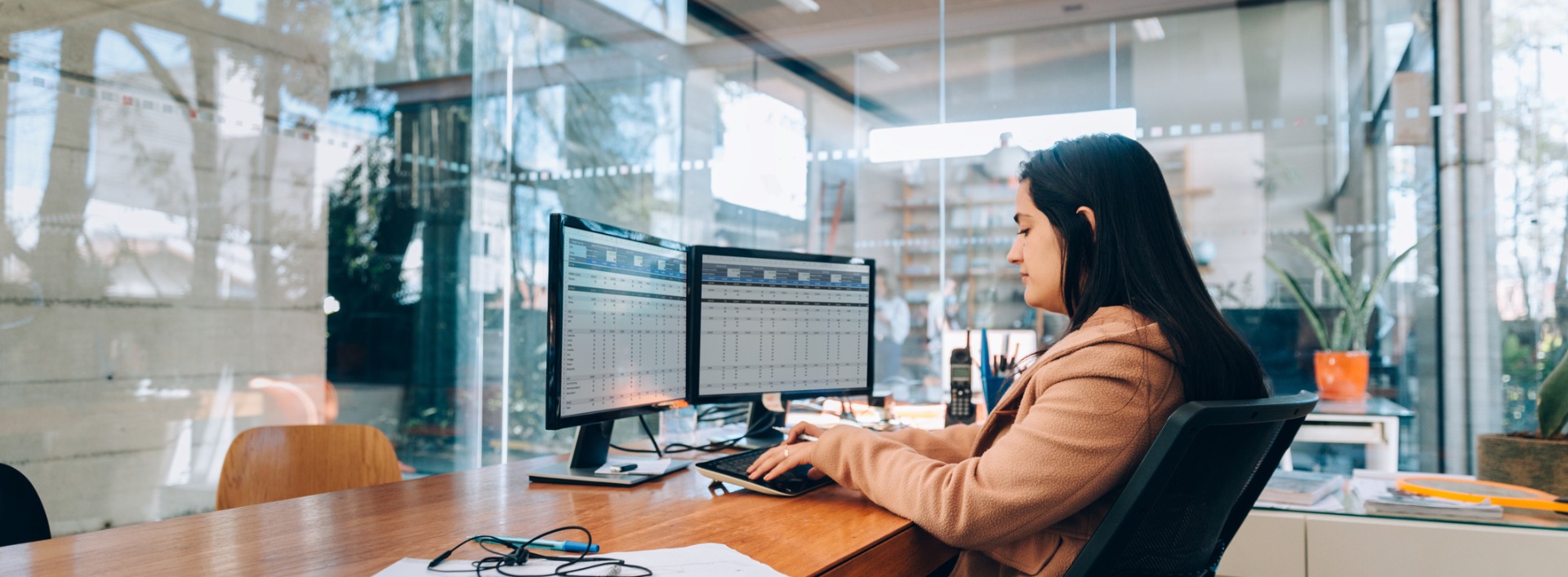 this image has no description provided