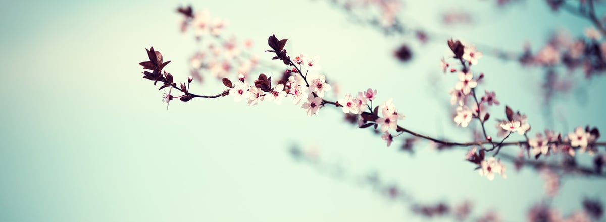 Return to Work Success Story   Enhanced Recovery Program