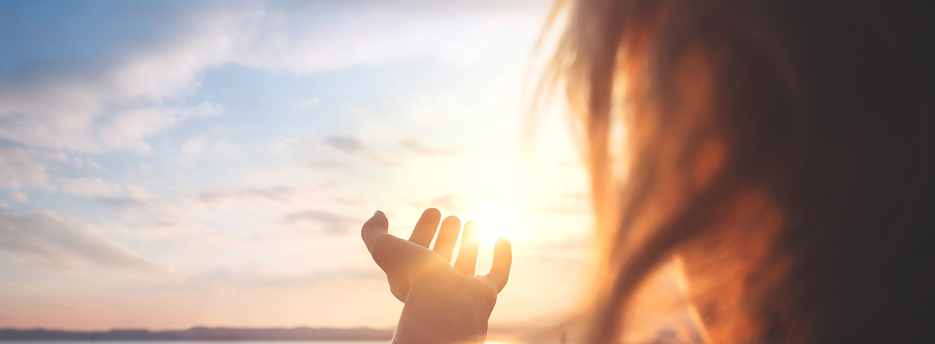 this image has no description provided