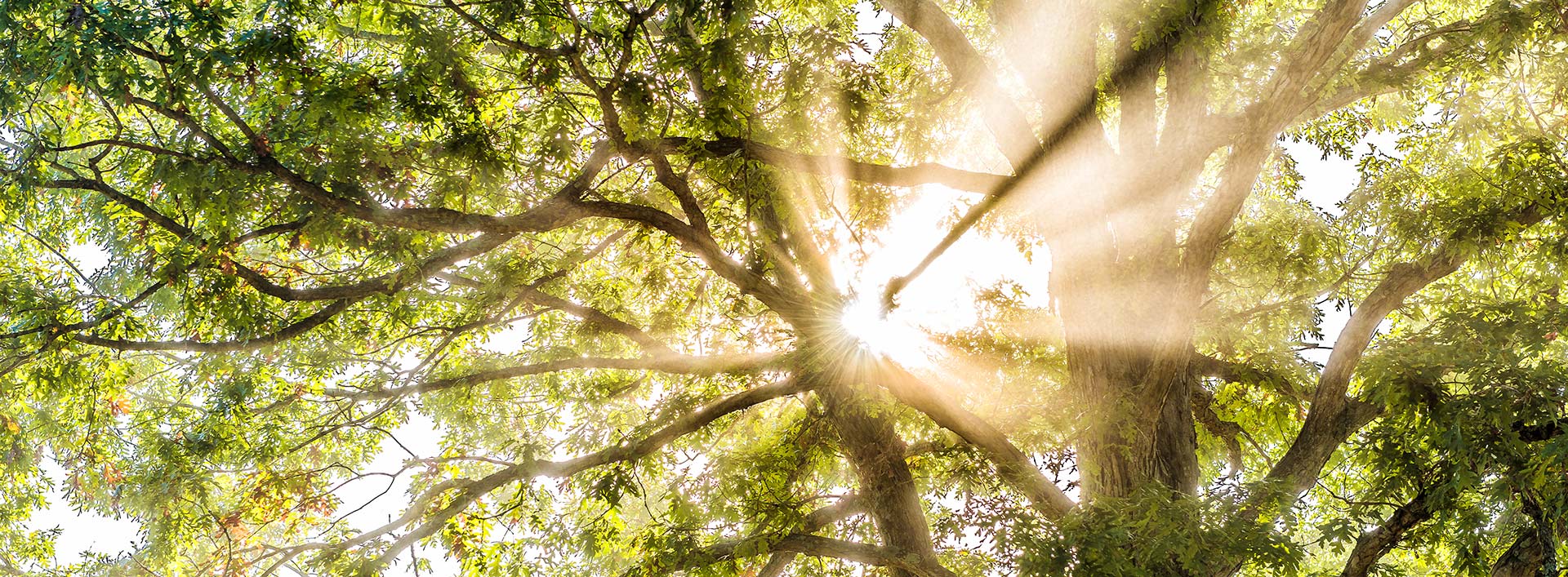 this image has no description provided