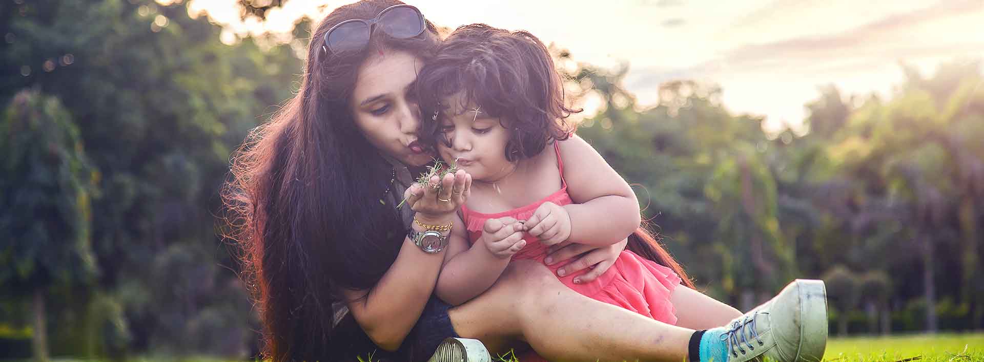 this image has no description provided