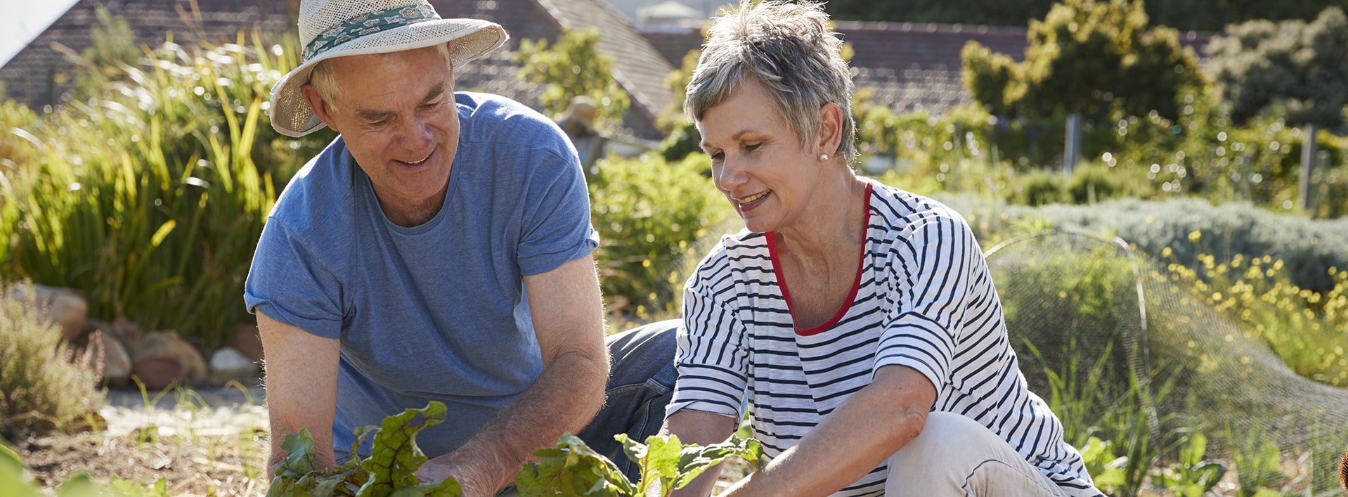 this image has no description provided