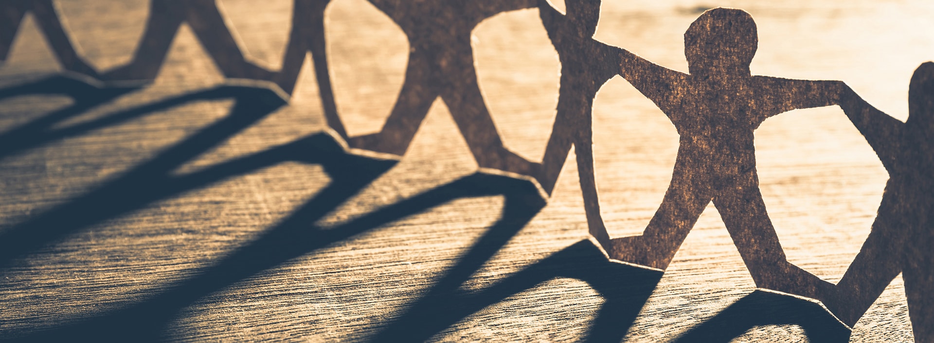 this image has no description provided