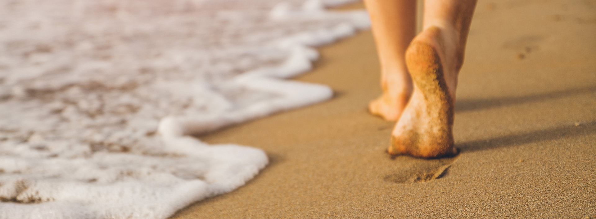 this image has no description provided