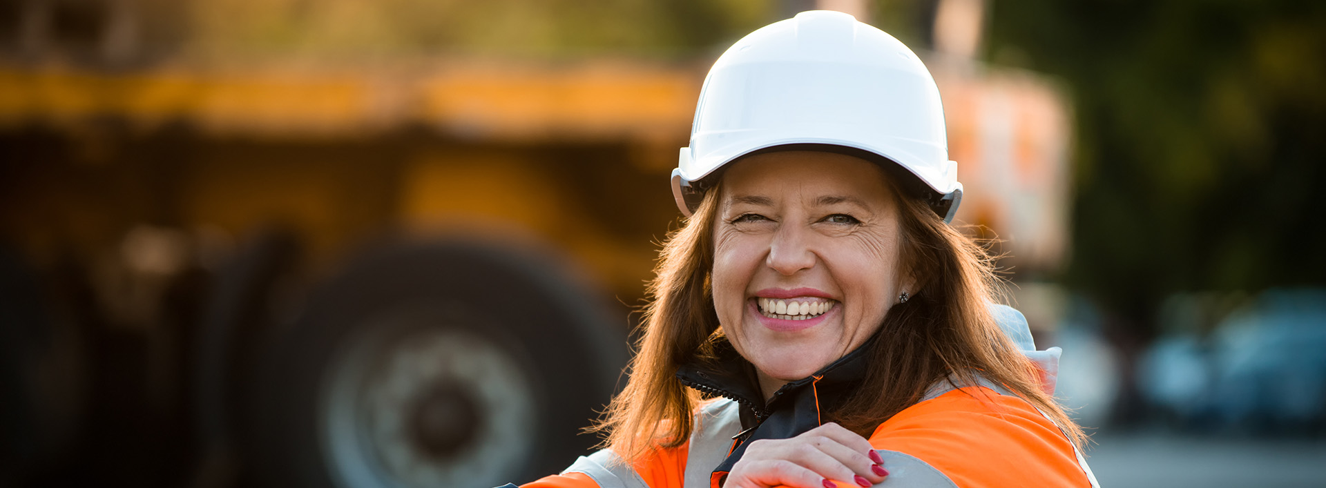 this image has no description provided