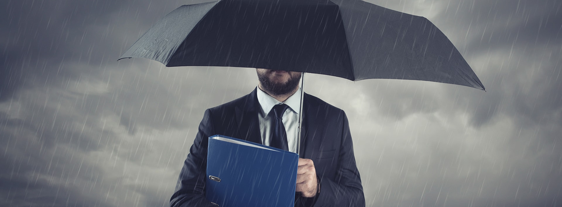 this image has no description provided