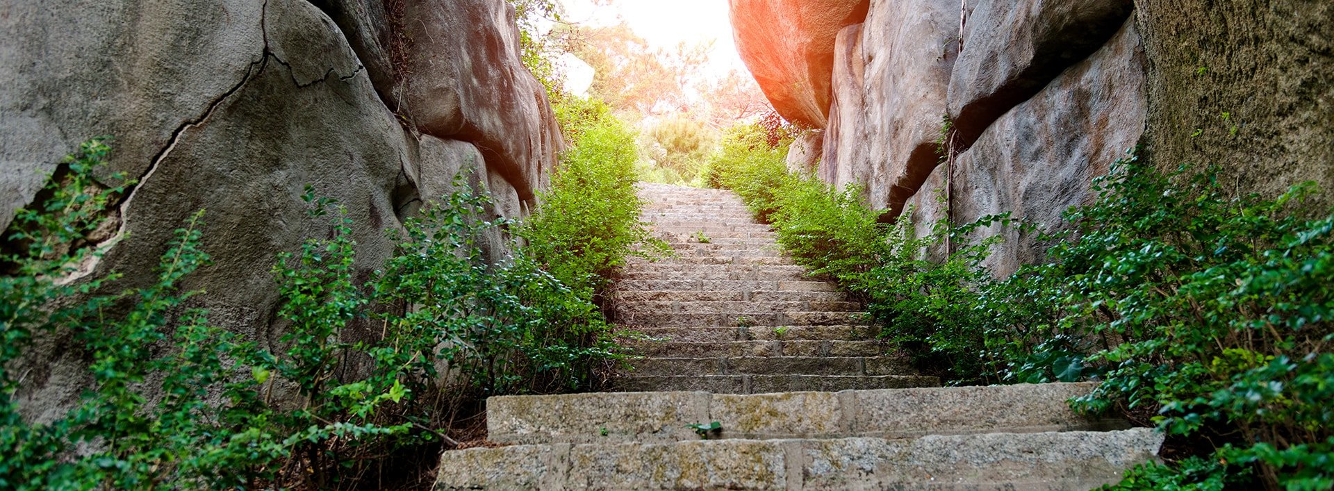 this image has no description provided