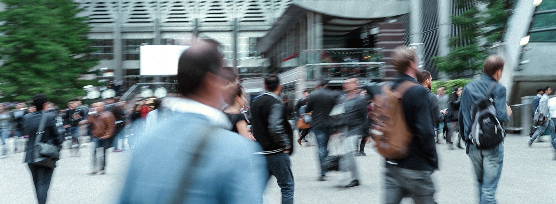 this image has no description provided