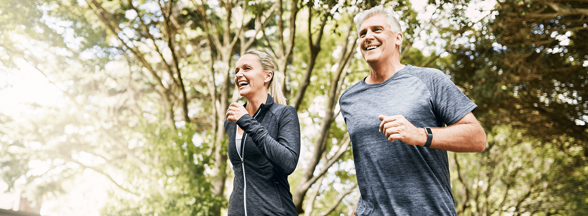 this image has no description provided