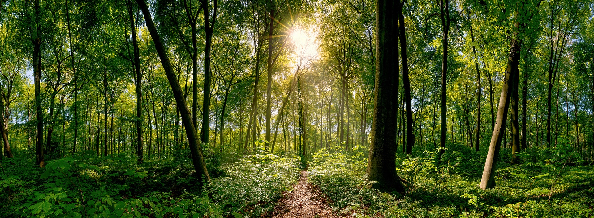 A Customer’s Journey: Cancer | Altius Group