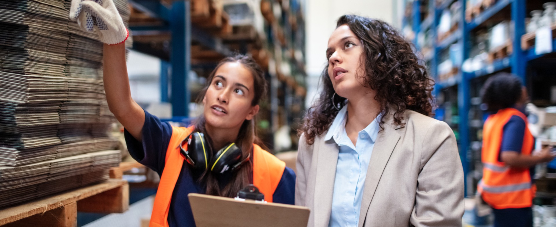 this image has no description provided