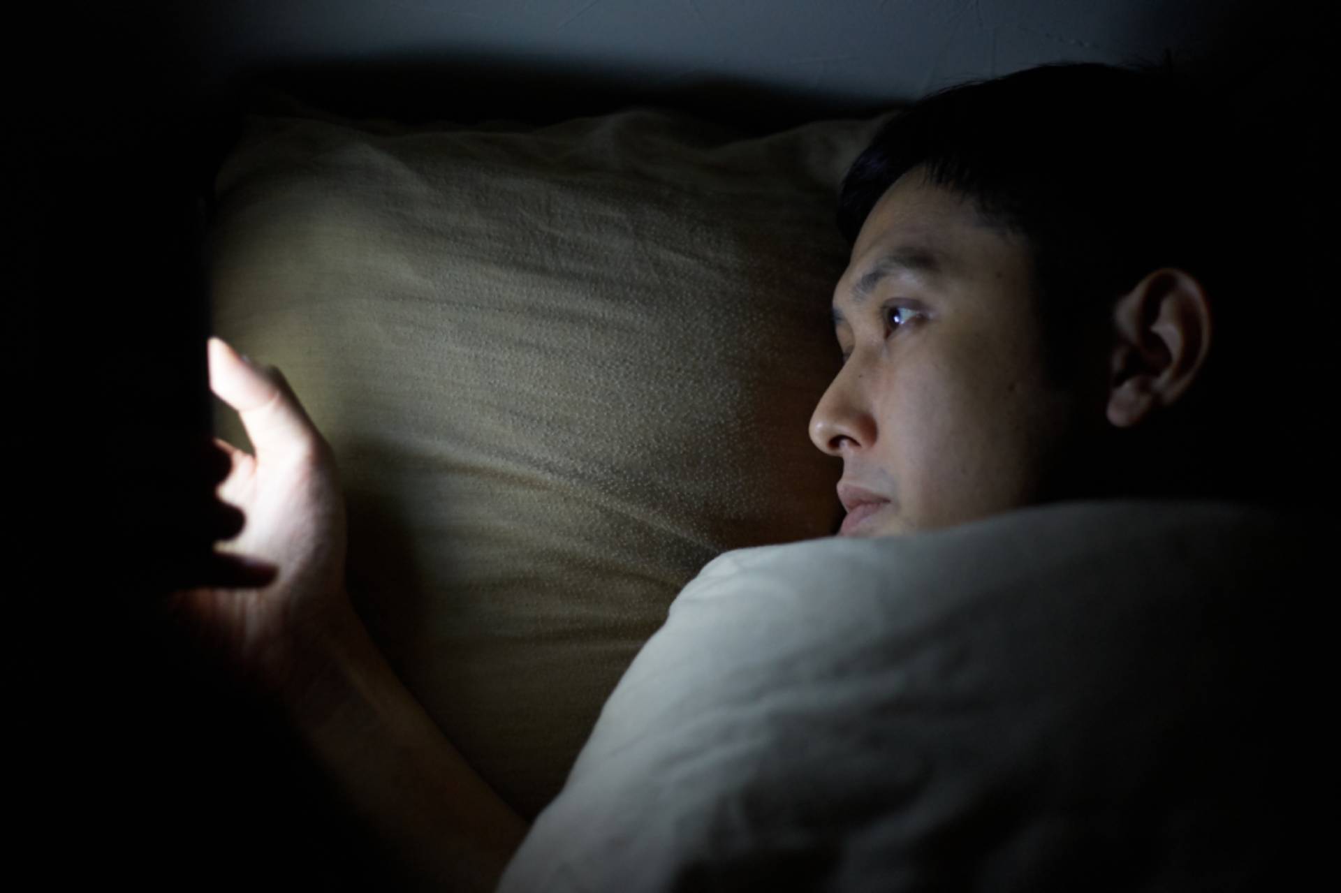 this image has no description provided