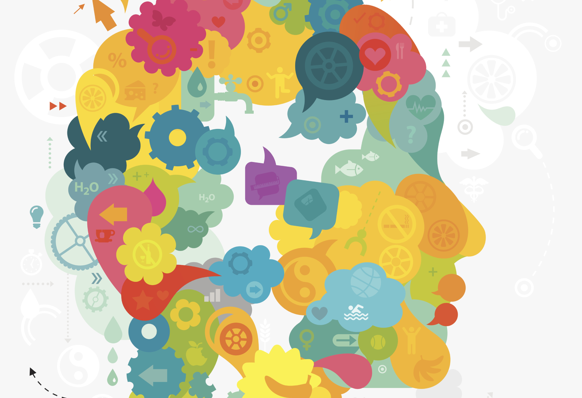 this image has no description provided