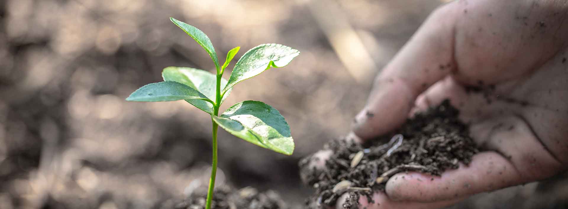 this image has no description provided