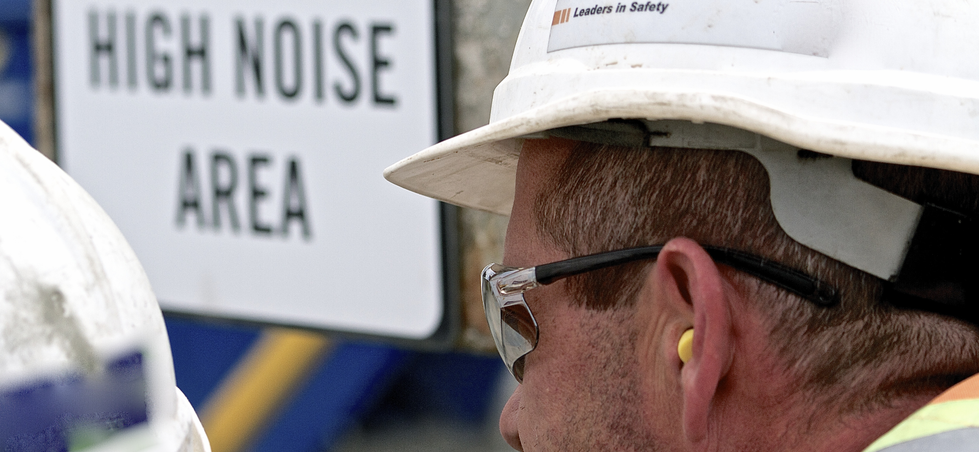 this image has no description provided