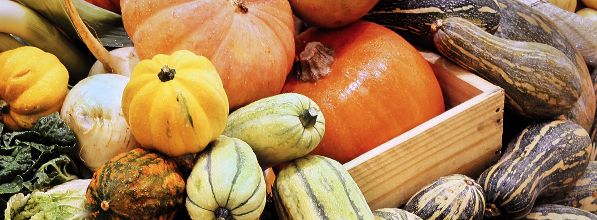 this image has no description provided