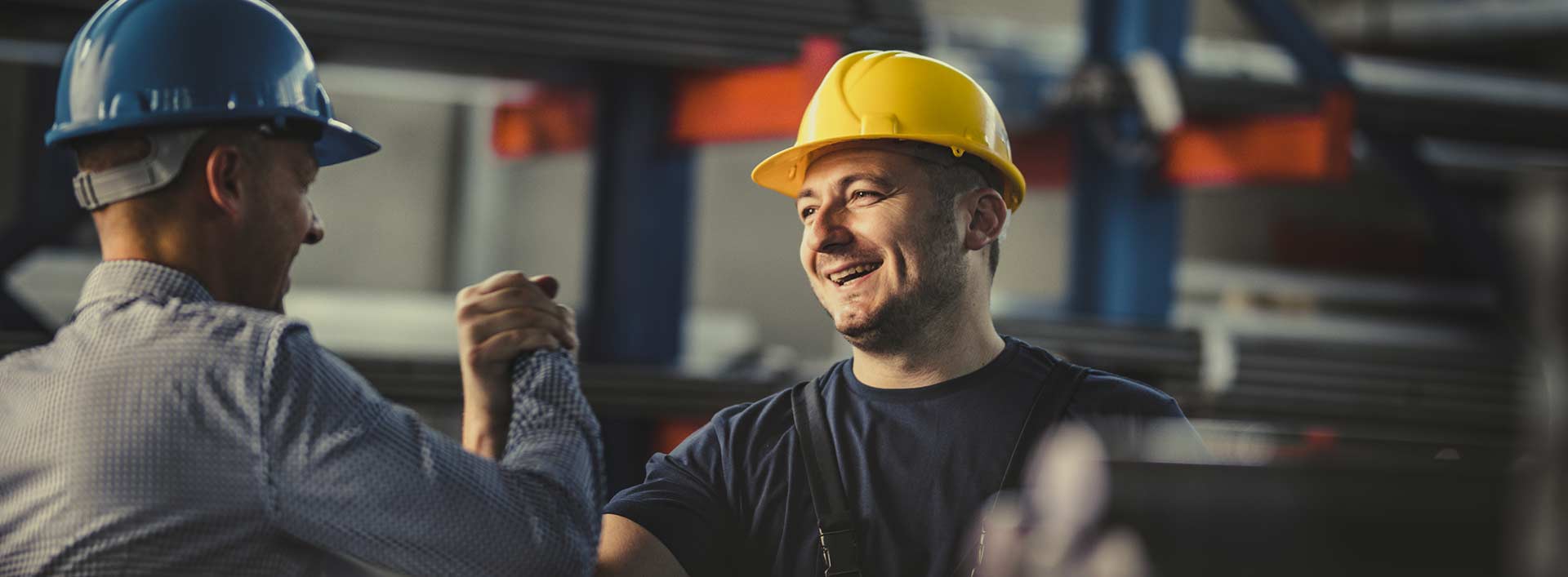 this image has no description provided