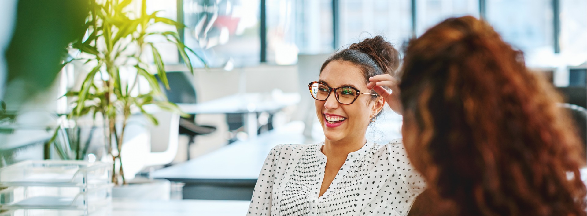 this image has no description provided