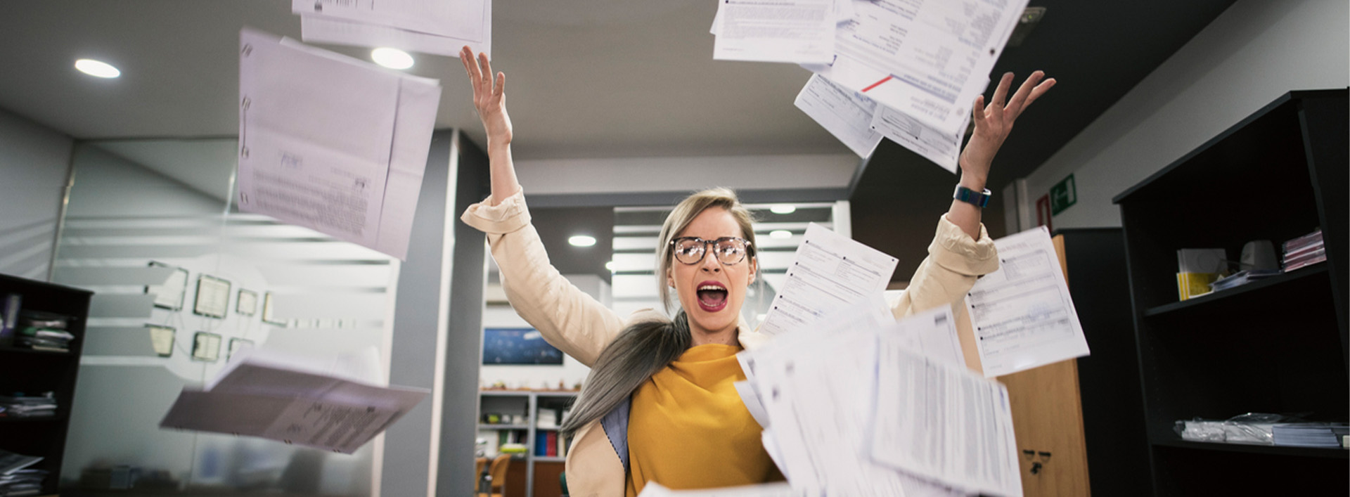 this image has no description provided