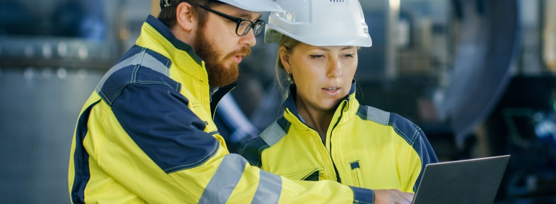 this image has no description provided