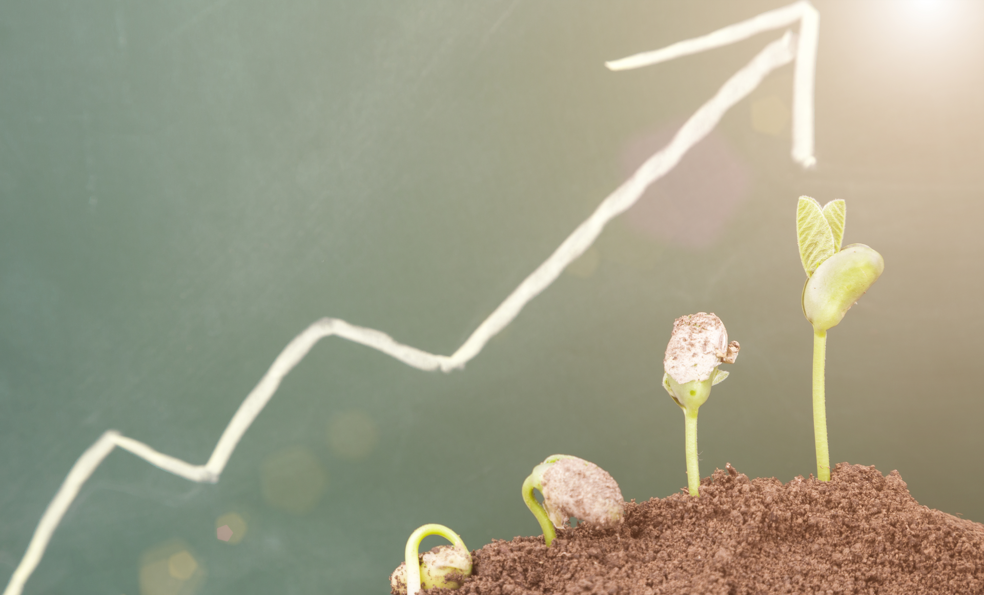 this image has no description provided