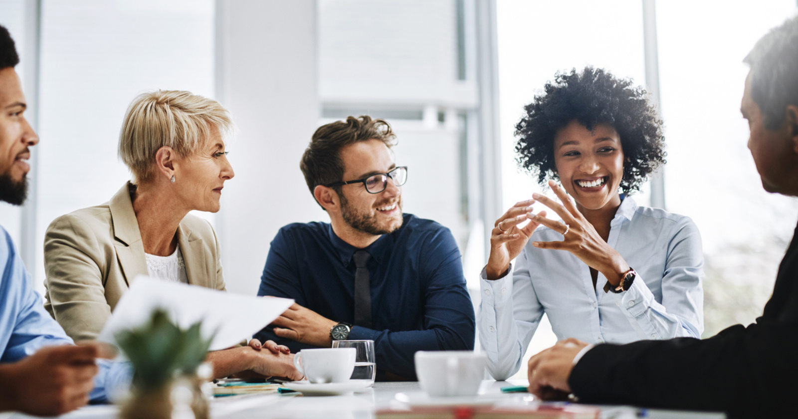 this image has no description provided