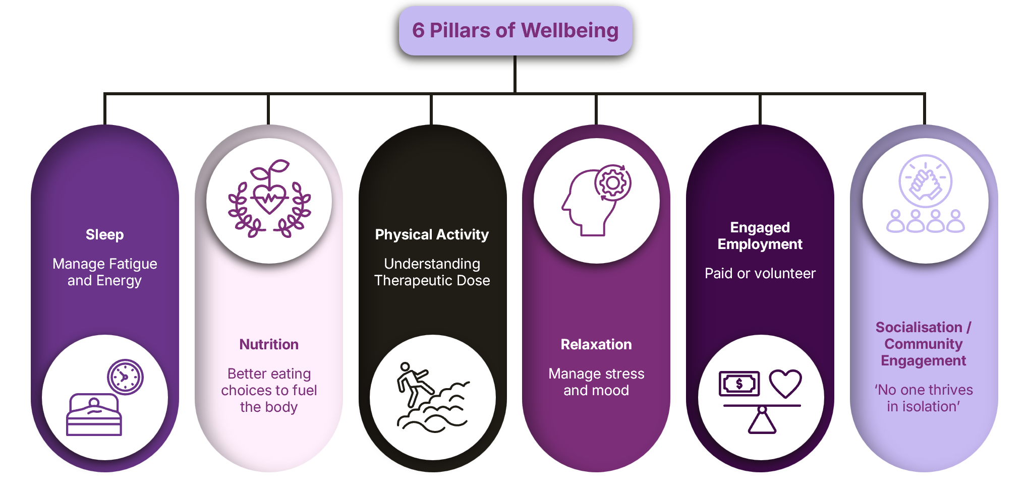 EHS-6 pillars of wellbeing