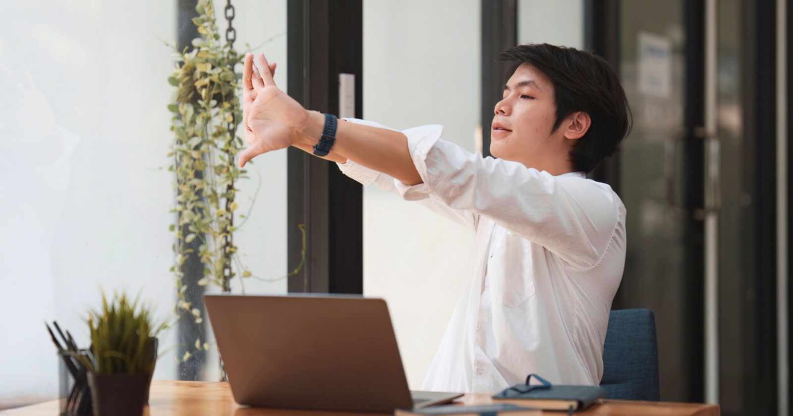 this image has no description provided