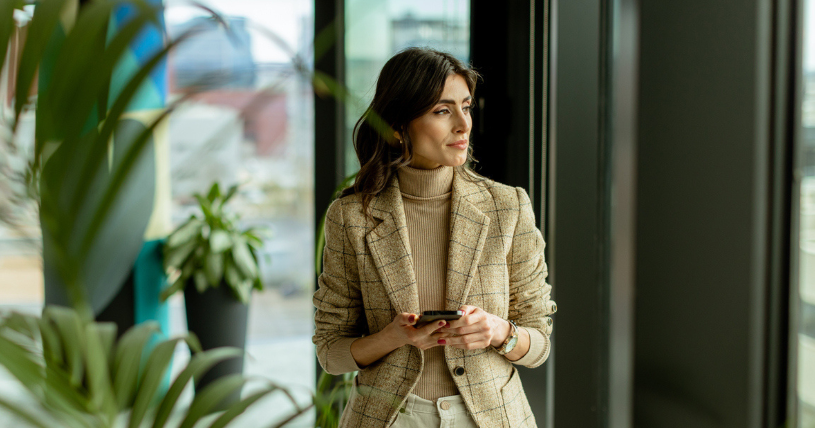 this image has no description provided