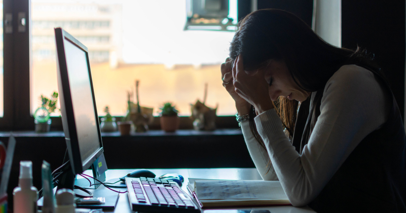 this image has no description provided