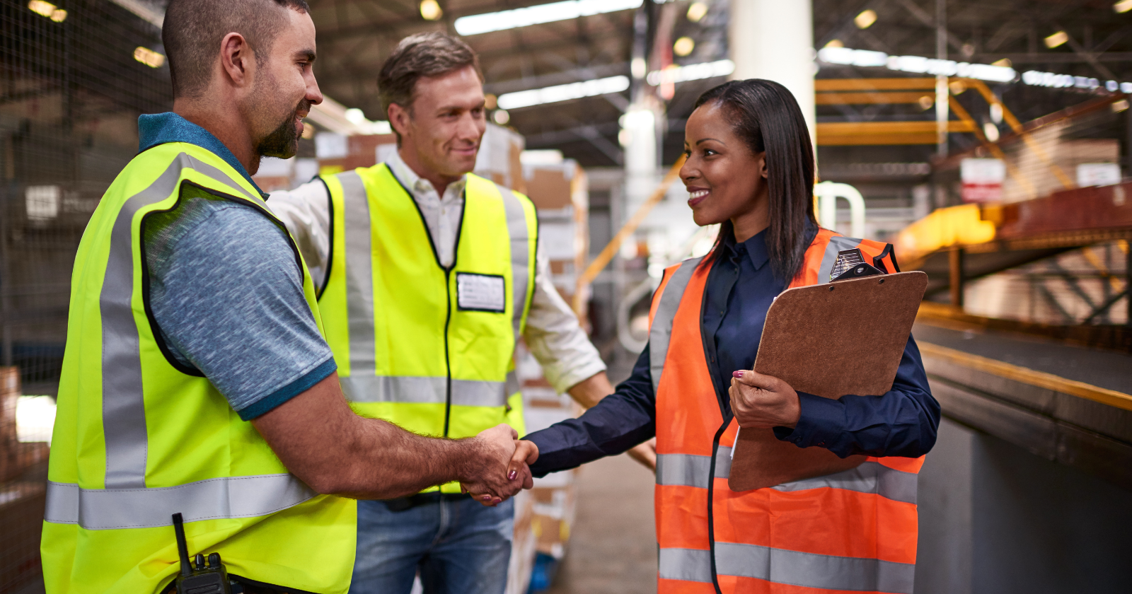 What Does a Work Health and Safety Consultant Do? | Altius